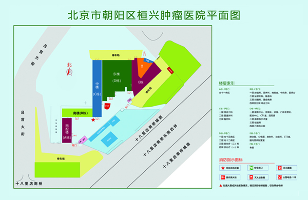 歮艹逼逼北京市朝阳区桓兴肿瘤医院平面图